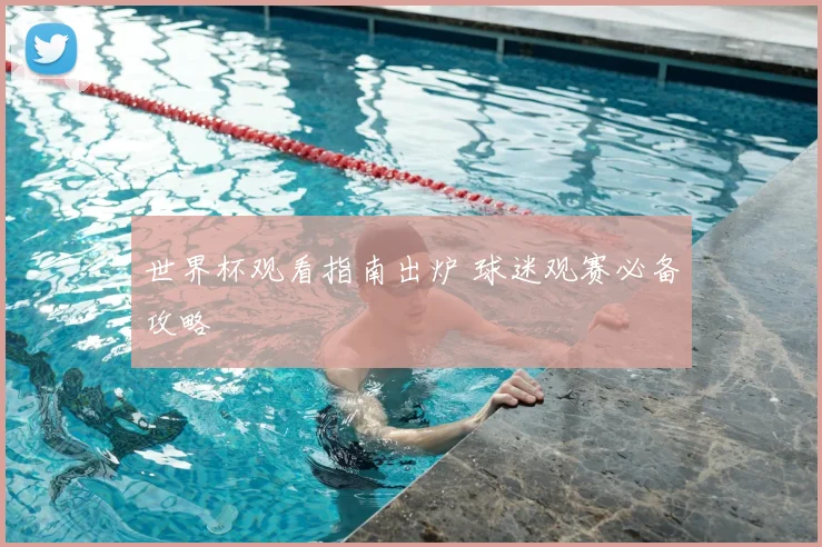 世界杯观看指南出炉 球迷观赛必备攻略