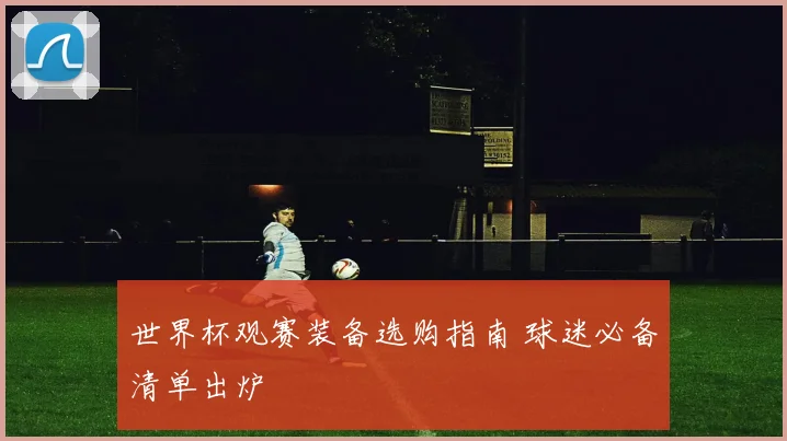 世界杯观赛装备选购指南 球迷必备清单出炉