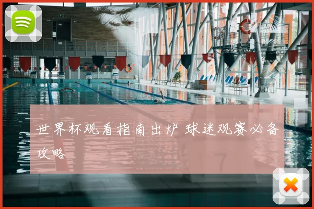 世界杯观看指南出炉 球迷观赛必备攻略