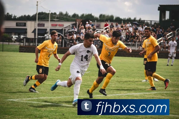 开云手机在线登陆入口发展历程