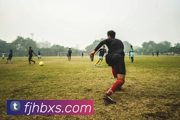 开云手机在线登陆入口品牌故事