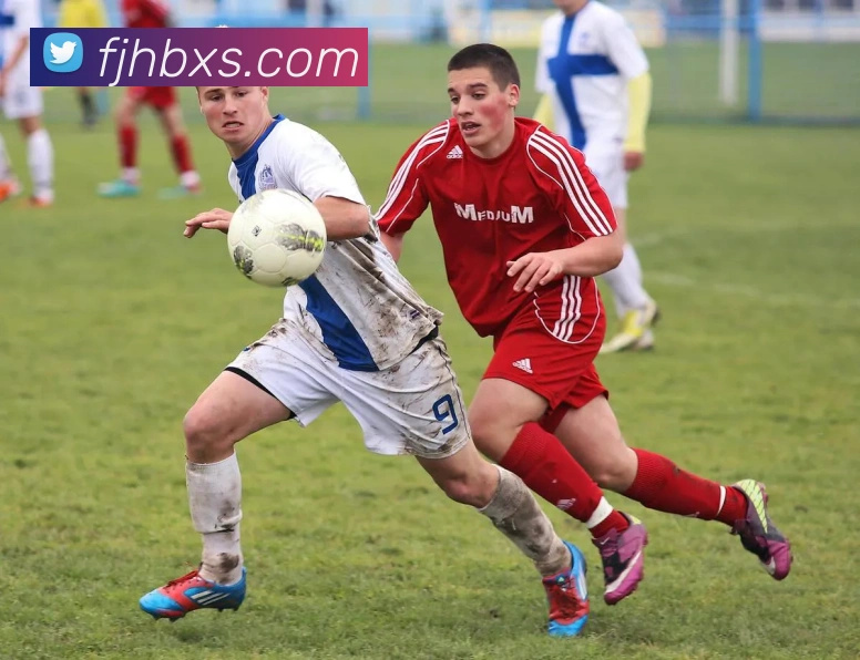 开云手机在线登陆入口服务体系